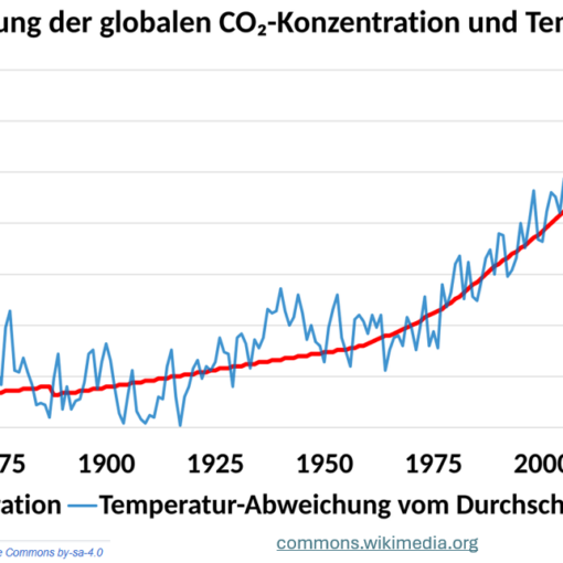 co2 kompensation